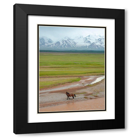 Horses in the Alay Valley and the Trans-Alay Range in the Pamir Mountains  Black Modern Wood Framed Art Print with Double Matting by Zwick, Martin