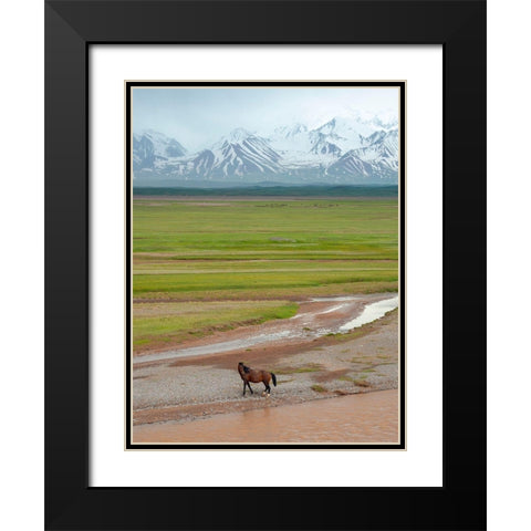 Horses in the Alay Valley and the Trans-Alay Range in the Pamir Mountains  Black Modern Wood Framed Art Print with Double Matting by Zwick, Martin
