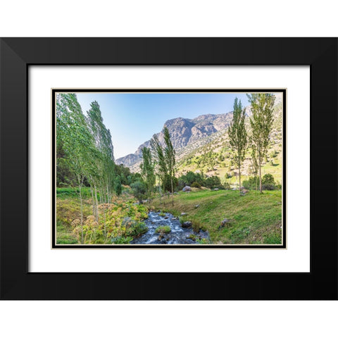 Artuch-Sughd Province-Tajikistan A small creek in the mountains of Tajikistan Black Modern Wood Framed Art Print with Double Matting by Wilson, Emily M.