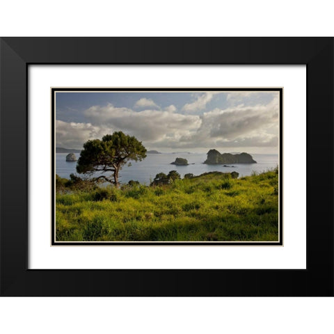 New Zealand, North Is Stingray Bay at sunrise Black Modern Wood Framed Art Print with Double Matting by Grall, Don