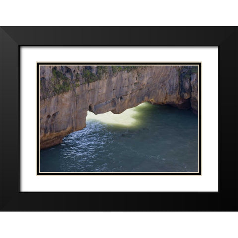 New Zealand, South Island Sunlight on sea arch Black Modern Wood Framed Art Print with Double Matting by Grall, Don