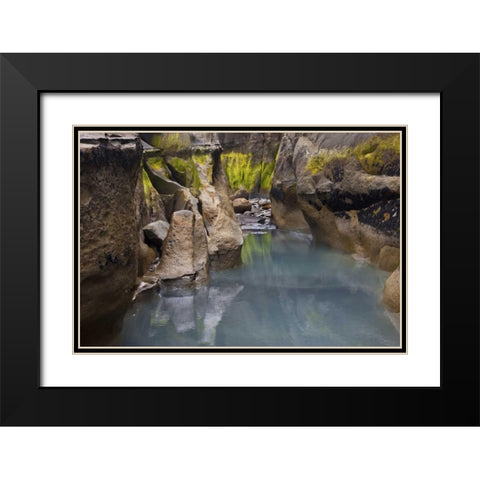 New Zealand, North Island Rocks at low tide Black Modern Wood Framed Art Print with Double Matting by Grall, Don