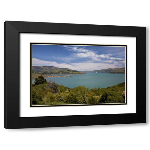 New Zealand, South Island, Akaroa Harbor scenic Black Modern Wood Framed Art Print with Double Matting by Grall, Don
