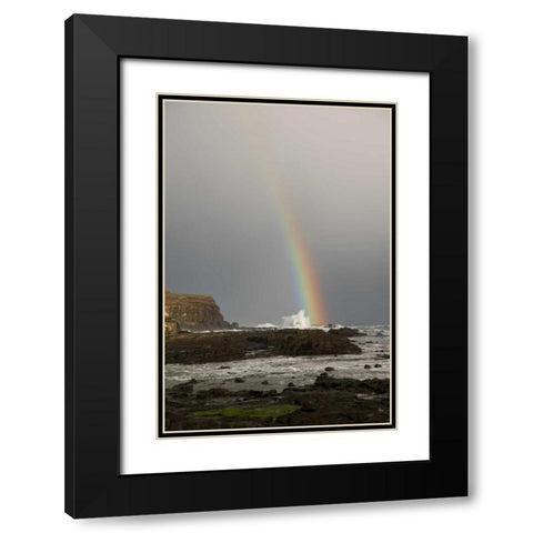 New Zealand, South Island Rainbow over Curio Bay Black Modern Wood Framed Art Print with Double Matting by Grall, Don