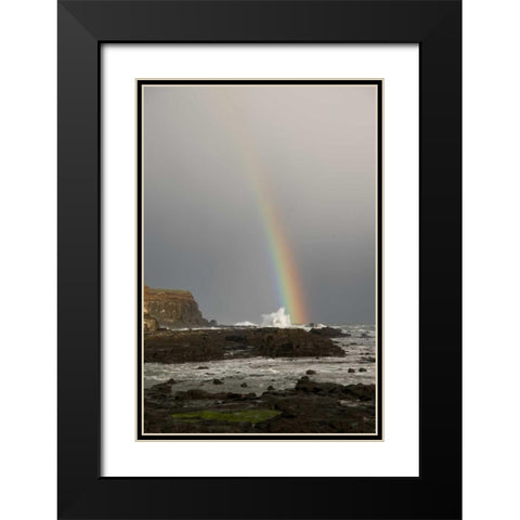 New Zealand, South Island Rainbow over Curio Bay Black Modern Wood Framed Art Print with Double Matting by Grall, Don
