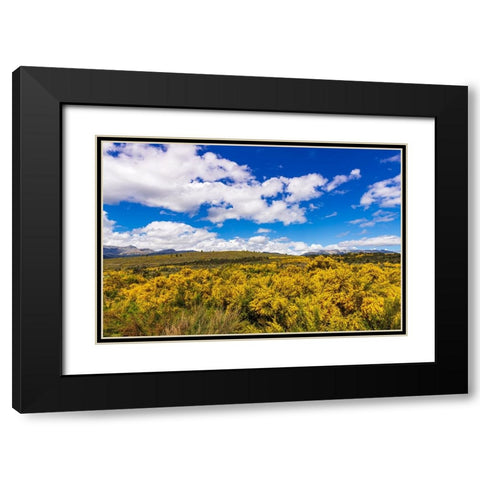 Wildflowers on rolling hills above Lake Te Anau-South Island-New Zealand Black Modern Wood Framed Art Print with Double Matting by Bishop, Russ