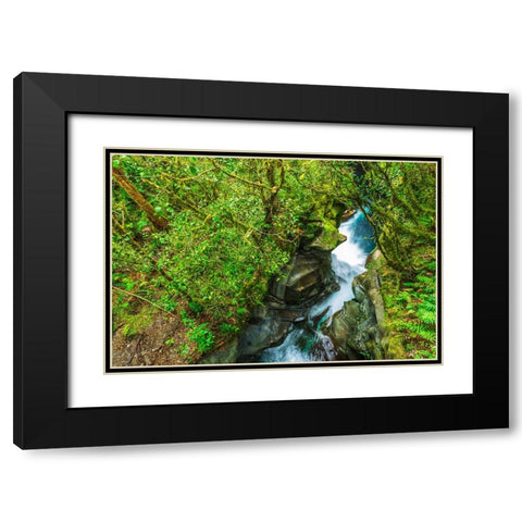 The Chasm-Fiordland National Park-South Island-New Zealand Black Modern Wood Framed Art Print with Double Matting by Bishop, Russ