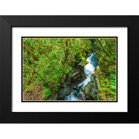 The Chasm-Fiordland National Park-South Island-New Zealand Black Modern Wood Framed Art Print with Double Matting by Bishop, Russ