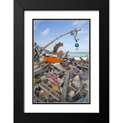 Bahamas, Exuma Island Driftwood on BooBoo Hill Black Modern Wood Framed Art Print with Double Matting by Paulson, Don
