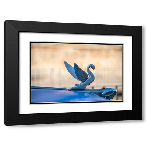 Close-up of a swan hood ornament on a classic blue American car in Vieja-old Habana-Havana-Cuba Black Modern Wood Framed Art Print with Double Matting by Miglavs, Janis