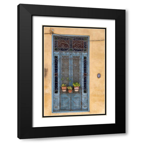 Flower pots sit in wrought iron gate in front of blue door in Old Havana; La Habana Vieja-Cuba Black Modern Wood Framed Art Print with Double Matting by Miglavs, Janis