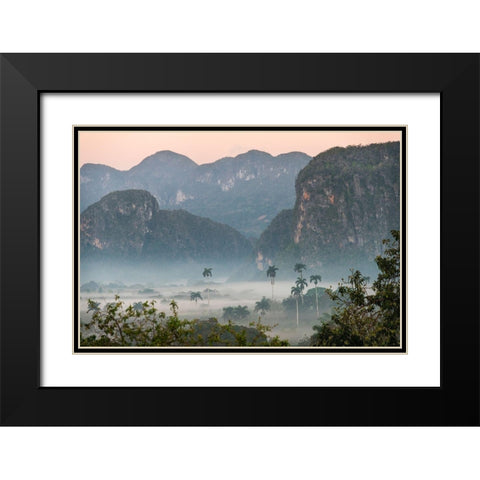 Morning fog rises from the palm tree lined Vinales Valley-Cuba Black Modern Wood Framed Art Print with Double Matting by Miglavs, Janis