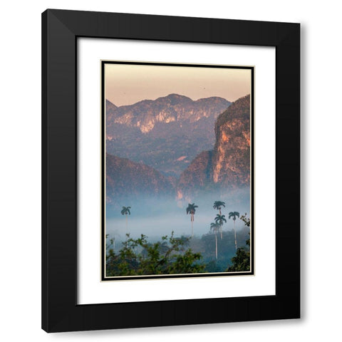 Morning fog rises from the palm tree lined Vinales Valley-Cuba Black Modern Wood Framed Art Print with Double Matting by Miglavs, Janis