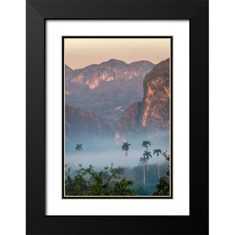 Morning fog rises from the palm tree lined Vinales Valley-Cuba Black Modern Wood Framed Art Print with Double Matting by Miglavs, Janis