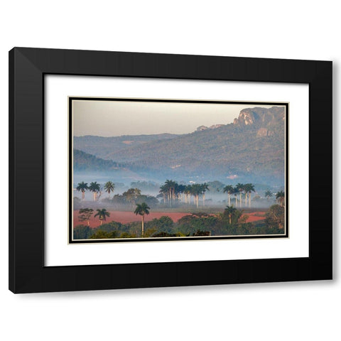 Morning fog rises from the palm tree lined Vinales Valley-Cuba Black Modern Wood Framed Art Print with Double Matting by Miglavs, Janis