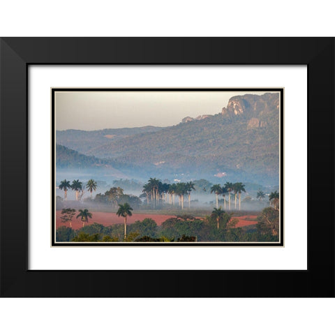 Morning fog rises from the palm tree lined Vinales Valley-Cuba Black Modern Wood Framed Art Print with Double Matting by Miglavs, Janis