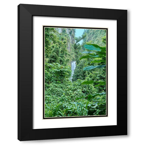 Caribbean-West Indies-Dominica Island One of Dominicas most popular natural attractions Black Modern Wood Framed Art Print with Double Matting by Buhl, Karl