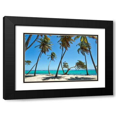 French West Indies-Guadeloupe Marie-Galante Island-part of France Beach at Capesterre  Black Modern Wood Framed Art Print with Double Matting by Buhl, Karl