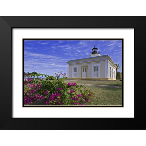 Puerto Rico Faro Punta Mulas lighthouse Black Modern Wood Framed Art Print with Double Matting by Flaherty, Dennis