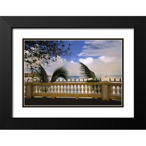 Puerto Rico, Esperanza Walkway of boats offshore Black Modern Wood Framed Art Print with Double Matting by Flaherty, Dennis