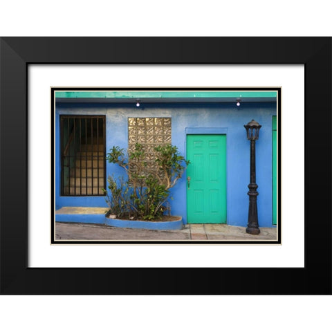 Puerto Rico Building exterior in Isabel Segunda Black Modern Wood Framed Art Print with Double Matting by Flaherty, Dennis