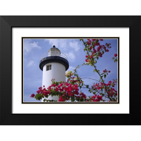 Puerto Rico, Viegues Island Coastal lighthouse Black Modern Wood Framed Art Print with Double Matting by Flaherty, Dennis