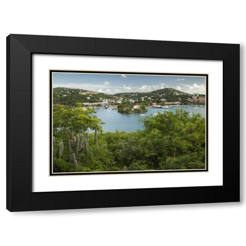 Caribbean, USA Virgin Islands, St John Cruz Bay Black Modern Wood Framed Art Print with Double Matting by Illg, Cathy and Gordon