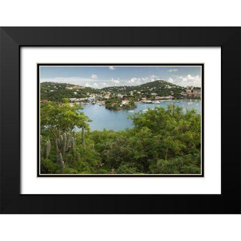 Caribbean, USA Virgin Islands, St John Cruz Bay Black Modern Wood Framed Art Print with Double Matting by Illg, Cathy and Gordon