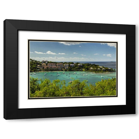 Caribbean, USA Virgin Islands, St John Cruz Bay Black Modern Wood Framed Art Print with Double Matting by Illg, Cathy and Gordon