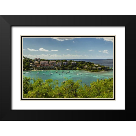 Caribbean, USA Virgin Islands, St John Cruz Bay Black Modern Wood Framed Art Print with Double Matting by Illg, Cathy and Gordon