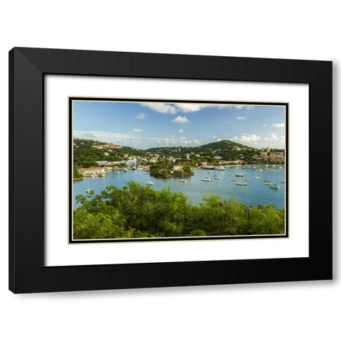 Caribbean, USA Virgin Islands, St John Cruz Bay Black Modern Wood Framed Art Print with Double Matting by Illg, Cathy and Gordon