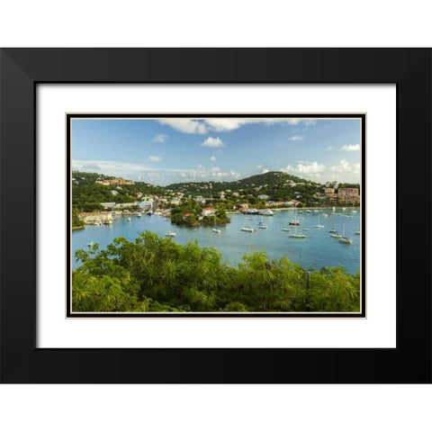 Caribbean, USA Virgin Islands, St John Cruz Bay Black Modern Wood Framed Art Print with Double Matting by Illg, Cathy and Gordon