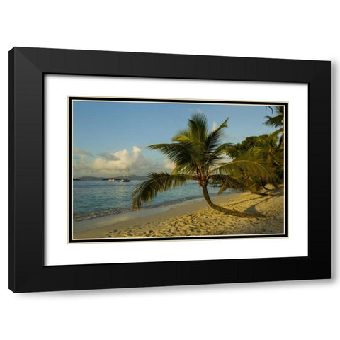 Caribbean, USA Virgin Islands Beach scenic Black Modern Wood Framed Art Print with Double Matting by Illg, Cathy and Gordon