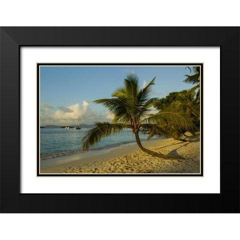 Caribbean, USA Virgin Islands Beach scenic Black Modern Wood Framed Art Print with Double Matting by Illg, Cathy and Gordon