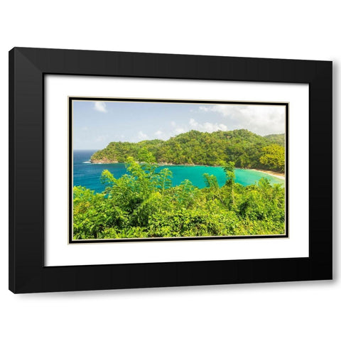 Caribbean-Tobago Ocean cove and jungle landscape  Black Modern Wood Framed Art Print with Double Matting by Jaynes Gallery