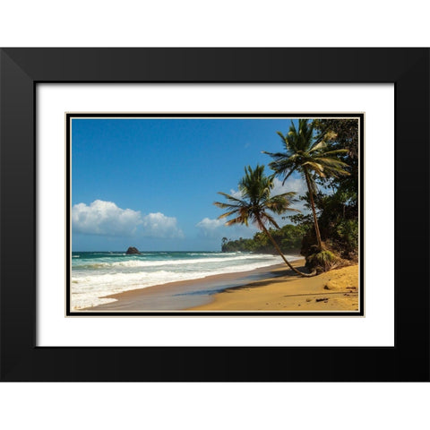 Caribbean-Trinidad-Blanchisseuse Bay Beach and ocean landscape  Black Modern Wood Framed Art Print with Double Matting by Jaynes Gallery