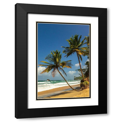 Caribbean-Trinidad-Blanchisseuse Bay Beach and ocean landscape  Black Modern Wood Framed Art Print with Double Matting by Jaynes Gallery