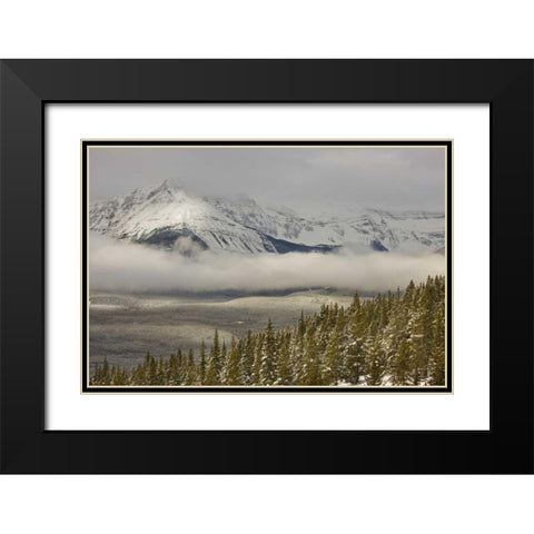 Canada, Banff NP A low cloud bank in the valley Black Modern Wood Framed Art Print with Double Matting by Grall, Don