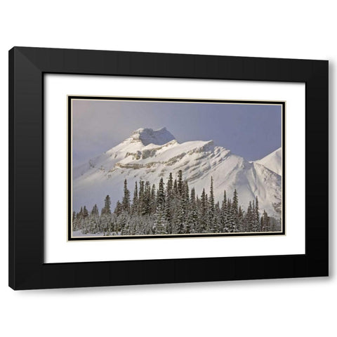 Canada, Alberta, Banff NP Summit of Nigel Peak Black Modern Wood Framed Art Print with Double Matting by Grall, Don