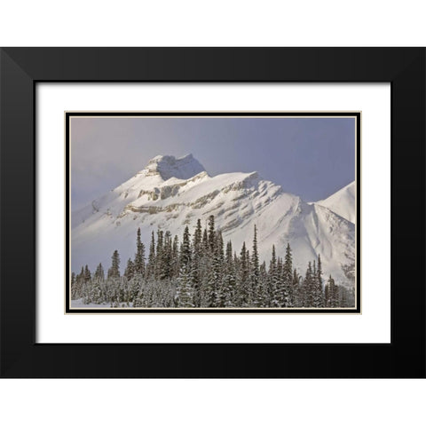 Canada, Alberta, Banff NP Summit of Nigel Peak Black Modern Wood Framed Art Print with Double Matting by Grall, Don