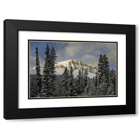 Canada, Banff NP Bow Peak after a snowstorm Black Modern Wood Framed Art Print with Double Matting by Grall, Don