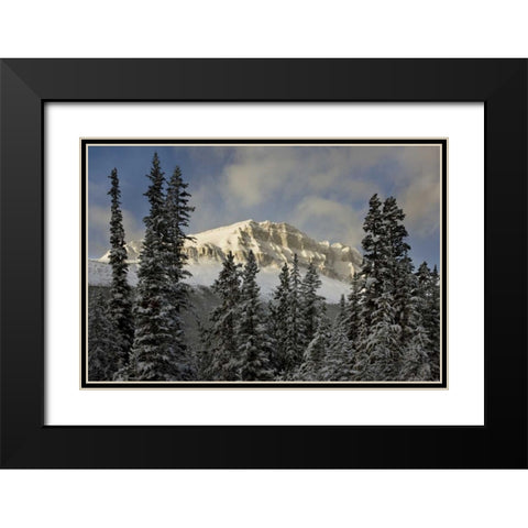 Canada, Banff NP Bow Peak after a snowstorm Black Modern Wood Framed Art Print with Double Matting by Grall, Don