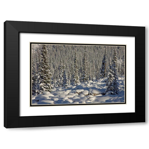 Canada, Alberta, Jasper NP Snowy rocks and trees Black Modern Wood Framed Art Print with Double Matting by Grall, Don