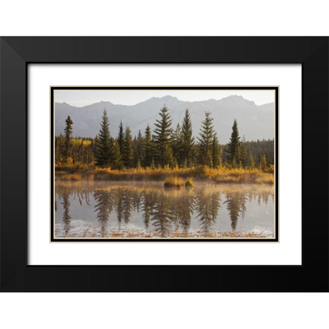 Canada, Alberta, Jasper NP Cottonwood Slough Black Modern Wood Framed Art Print with Double Matting by Paulson, Don