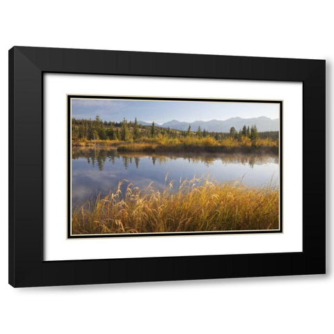 Canada, Alberta, Jasper NP Cottonwood Slough Black Modern Wood Framed Art Print with Double Matting by Paulson, Don