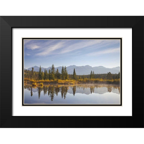 Canada, Alberta, Jasper NP Cottonwood Slough Black Modern Wood Framed Art Print with Double Matting by Paulson, Don