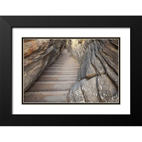 Canada, Alberta, Jasper NP Stairway on trail Black Modern Wood Framed Art Print with Double Matting by Paulson, Don