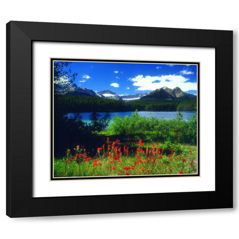 Canada, Alberta, Indian Paintbrush in Banff NP Black Modern Wood Framed Art Print with Double Matting by Talbot Frank, Christopher