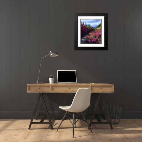 Wildflowers in Banff NP Alberta, Canada Black Modern Wood Framed Art Print with Double Matting by Talbot Frank, Christopher