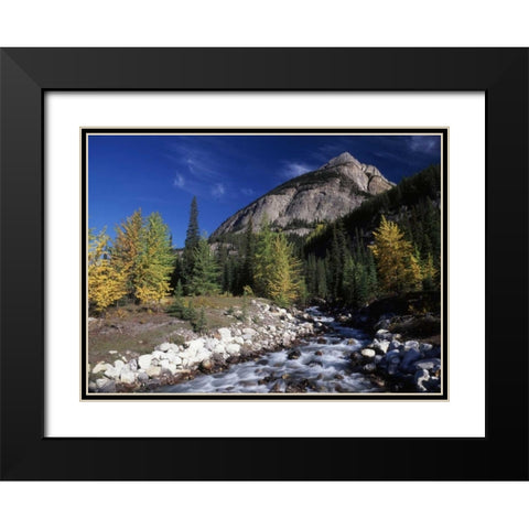 Canada, Alberta, Rampart Creek at Banff NP Black Modern Wood Framed Art Print with Double Matting by Grandmaison, Mike